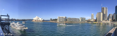 Sydney Harbor  4