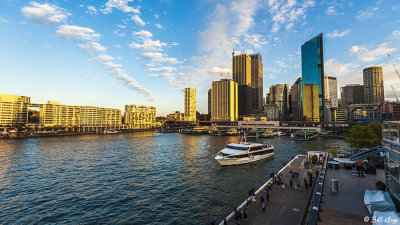 Sydney Harbor  6