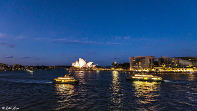 Sydney Harbor  10