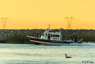Marine Sheriff 25