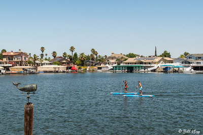 Stand UP Paddle Board 15