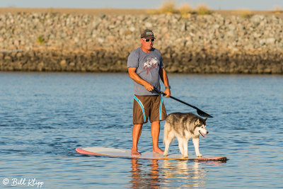 Stand UP Paddle Board  17