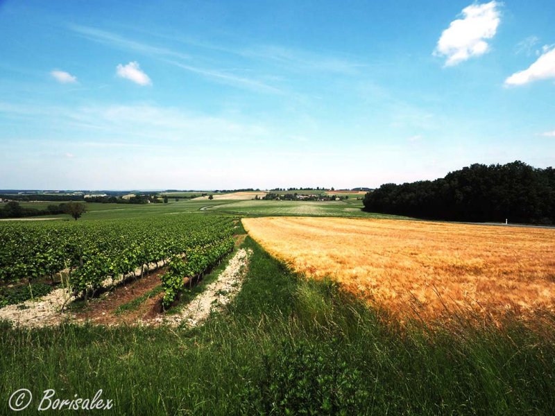 Bread & Wine