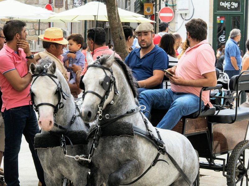 Feiras Novas 2017