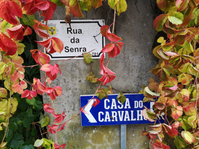 Signs