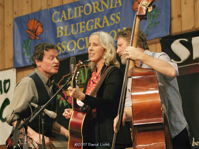 Sonoma Co. Bluegrass & Folk Music Festival 2017