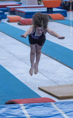 _NIK3221-1.jpg