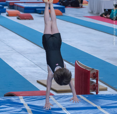 _NIK3234-1.jpg