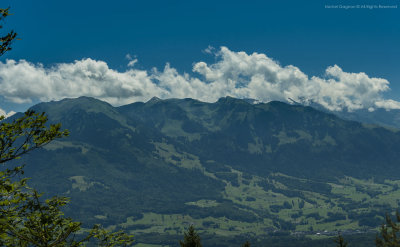 _NIK4651-1.jpg