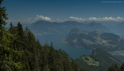 _NIK4664-1.jpg