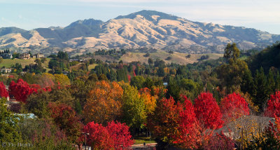 Fall View of Mt. Diablo