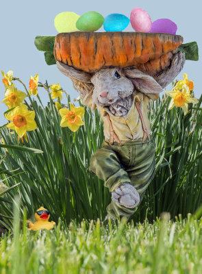 Easter Rabbit montage.jpg