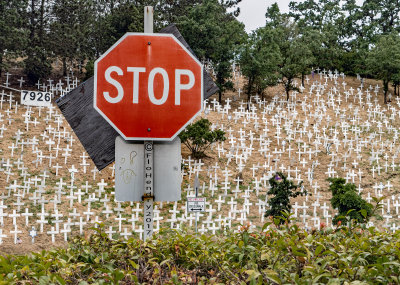 2017 Death Toll Memorial Day