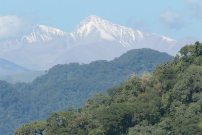 yungas and snow-covered peak