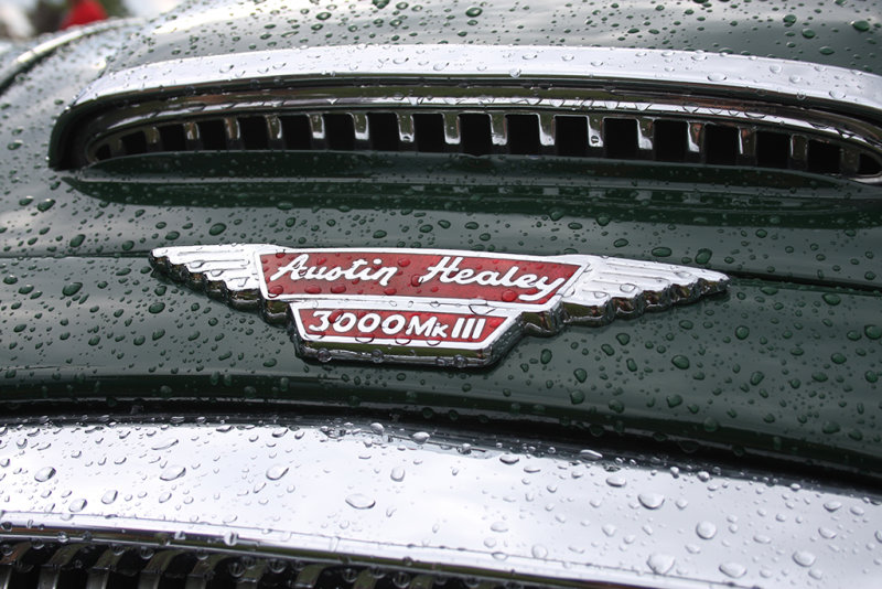 Wet Healey