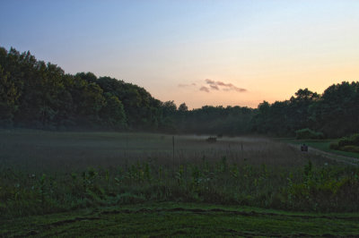 Fog of the Valley