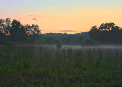 Sunset for a Field of Sweet Dreams