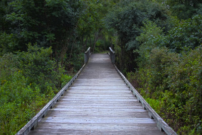 Toward the Cover