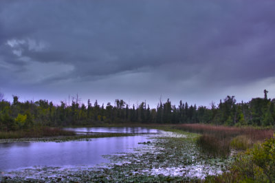 Lake View, Pt II