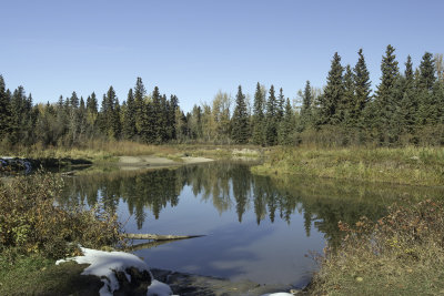 Fall Colors in Central Alberta October 6 2018 