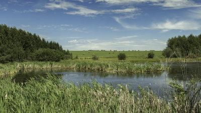 Wetlands and Hay Bales