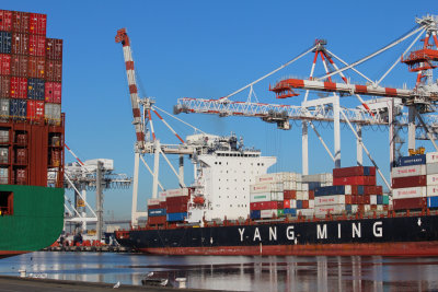 Crane_Camera2_03b.JPG