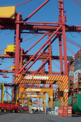 Crane_Camera_07.jpg