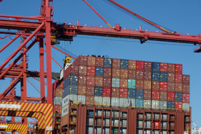 Crane_Camera_08.jpg