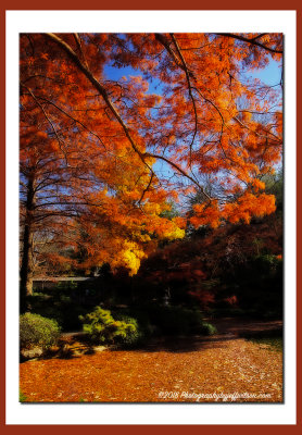 ftworthbotanic