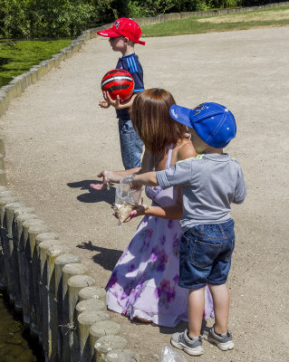 CoombeCountryPark016.jpg