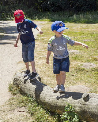 CoombeCountryPark033.jpg