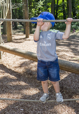 CoombeCountryPark041.jpg