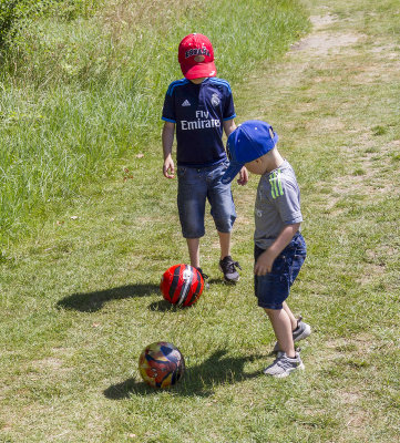 CoombeCountryPark061.jpg