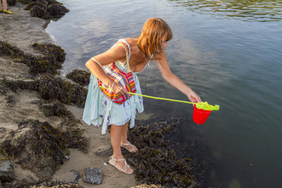 Barmouth091.jpg