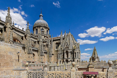 La Cathdrale de Salamanque