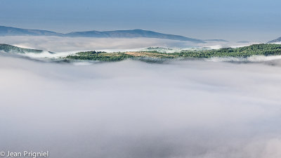 Brume