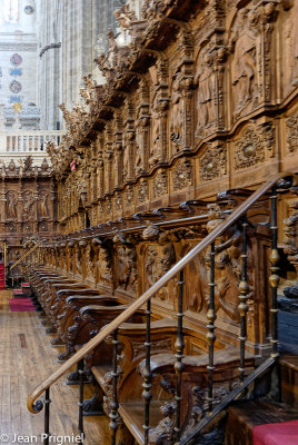 La Cathdrale de Salamanque