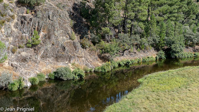 EL rio