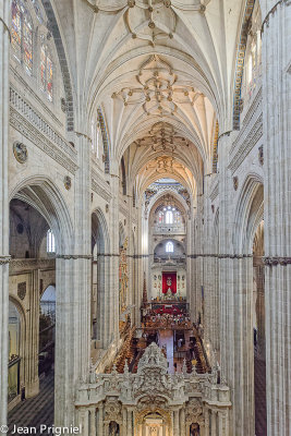 La Cathdrale de Salamanque