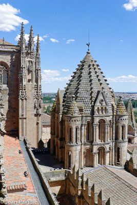 La Cathdrale de Salamanque