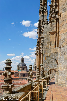 La Cathdrale de Salamanque