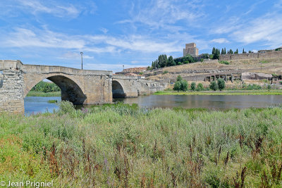 La ciudad Rodrigo
