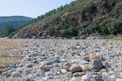 El rio