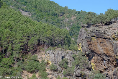Las Batucas