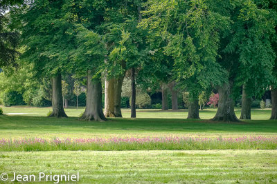 Chantilly