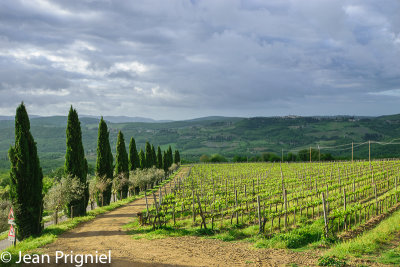 Chianti