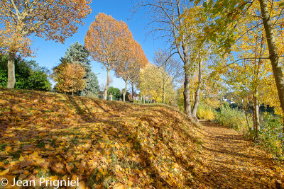 Automne 2018