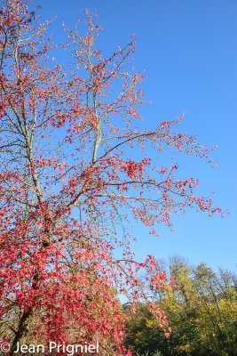 Automne 2018