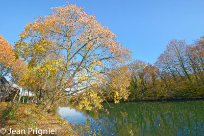 Automne 2018