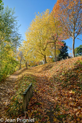 Automne 2018
